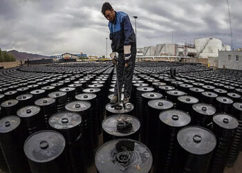 14010231000188 Test PhotoN