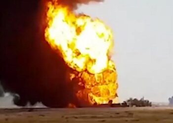 14020606000168 Test PhotoN