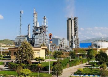 پتروشیمی شازند