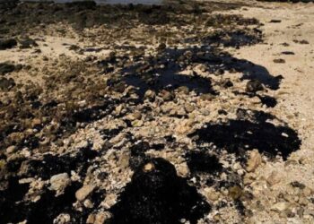 روش سبز پژوهشگاه نفت؛ پاک‌سازی خاک‌های آلوده به ترکیبات نفتی