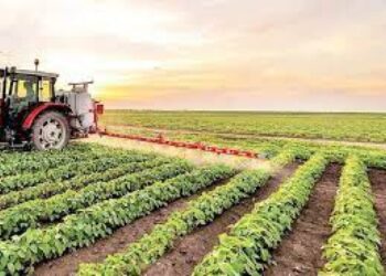 ۶.۷ میلیون لیتر سوخت کشاورزی در محمودآباد توزیع شد