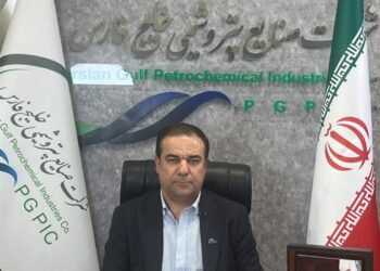 توان ساخت پتروشیمی با ۸۰ درصد توان داخلی