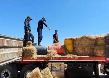 کشف سوخت قاچاق در خراسان جنوبی