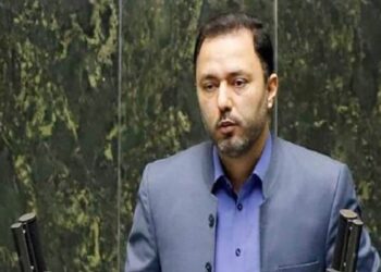 نحوه قیمت‌گذاری دلیل تحقیق و تفحص از پتروشیمی های دولتی