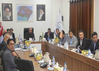 پتروشیمی دهدشت از ظرفیت سرمایه‌گذاران بومی استفاده می کند