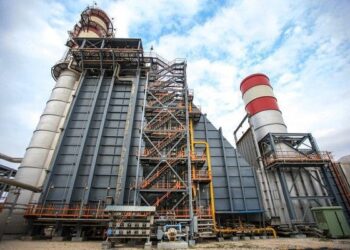 بازیگر اصلی در صنعت پتروشیمی خوراک آن است