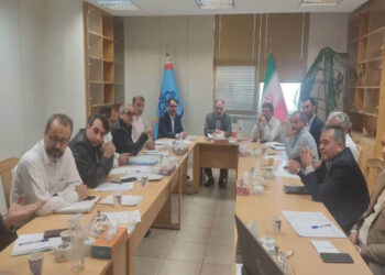 بررسی چالش‌های موجود فی مابین شرکت های پتروشیمی منطقه اقتصادی انرژی پارس