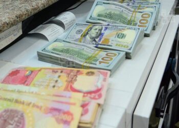 عدم بازگشت "۲۲ میلیون دلار ارز دولتی" توسط مدیران یک شرکت پتروشیمی