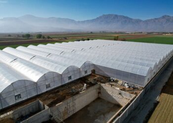 ۲ هزار و ۵۰۰ میلیارد ریال برای گازرسانی به گلخانه‌های چهارمحال و بختیاری