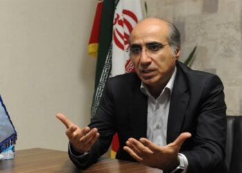 قیمت های ابلاغی خوراک پتروشیمی را قبول نداریم