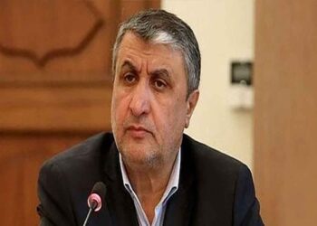 جلسه فعالان صنعت پتروشیمی و نفت با رییس سازمان انرژی اتمی