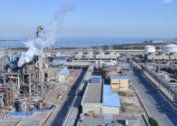 معامله پتروشیمی تندگویان و صدف خلیج فارس انجام می‌شود؟