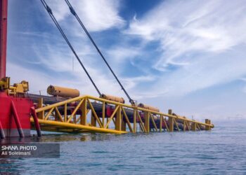 امسال تولید نفت آمریکا رشد نمی کند