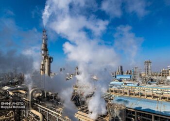 وزارت نفت به دنبال خلق ثروت از توسعه زنجیره ارزش