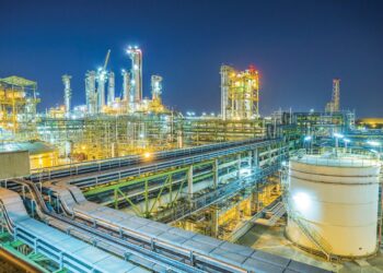 تأمین خوراک و مواد اولیه استخوان در گلوی مجتمع های پتروشیمی