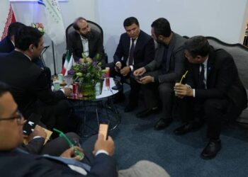 اعلام آمادگی ازبکستان برای همکاری با صنایع پتروشیمی خلیج فارس