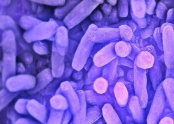 تصفیه فاضلاب‌های پتروشیمی با کنسرسیومی از باکتری‌های شوردوست