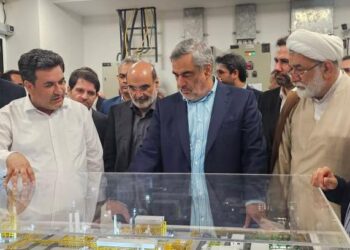 بازدید اعضای کمیسیون انرژی مجلس از پتروشیمی هنگام