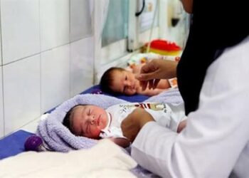 استان بوشهر