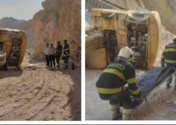 واژگونی بیل مکانیکی