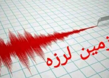 فوری/ بوشهر لرزید