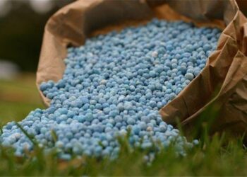 قطعی گاز پتروشیمی‌ها مانع تامین کود شیمیایی کشاورزان نشد