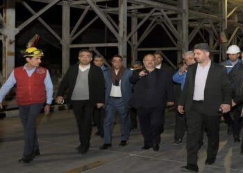 پتروشیمی شهید تند‌گویان