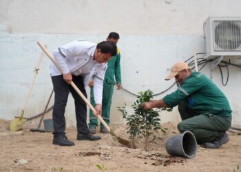 گرامیداشت روز درختکاری در پتروشیمی جم