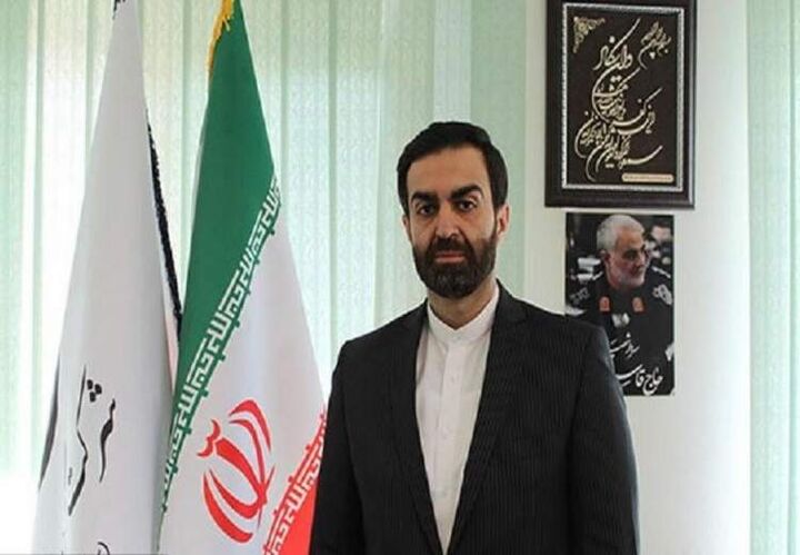 حمزه کرمی - مدیرعامل پتروشیمی دهلران شد.
