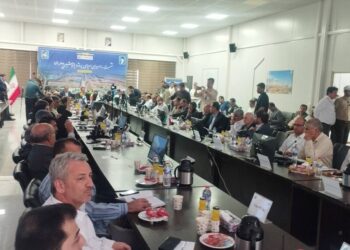 بررسی وضعیت پتروشیمی دهلران با حضور کمیسیون انرژی مجلس