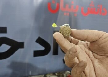 بذر تکاور - نانو مواد خاکستری - اصغر صادق آبادی