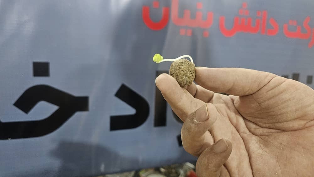 بذر تکاور - نانو مواد خاکستری - اصغر صادق آبادی