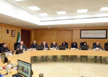 حسن عباس‌زاده همکاری صنعت پتروشیمی در مدیریت بحران را کلید موفقیت دانست