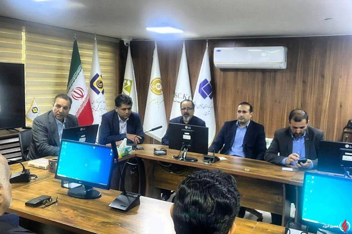 تاکید معاون شستا بر حرکت هلدینگ سلولزی در مسیر بهبود