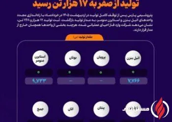شروع دوباره پتروشیمی پارس با ۷۰ درصد ظرفیت؛ تولید از صفر به ۱۷ هزار تن رسید +اینفوگرافیک