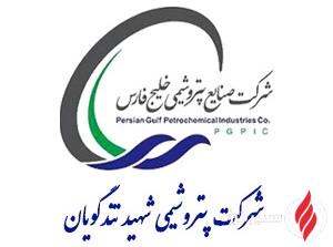 قاسم مسعودی رئیس هیئت‌مدیره پتروشیمی تندگویان شد